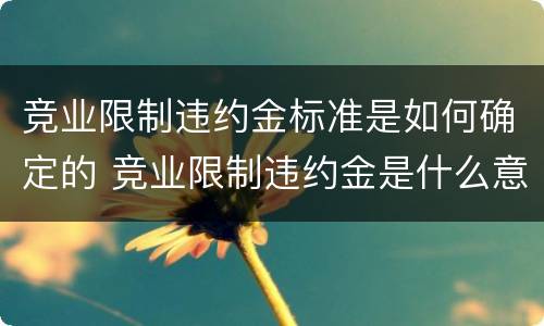 竞业限制违约金标准是如何确定的 竞业限制违约金是什么意思