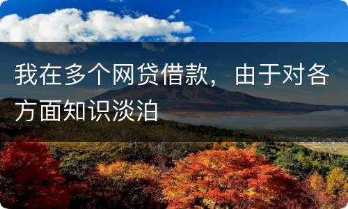 我在多个网贷借款，由于对各方面知识淡泊