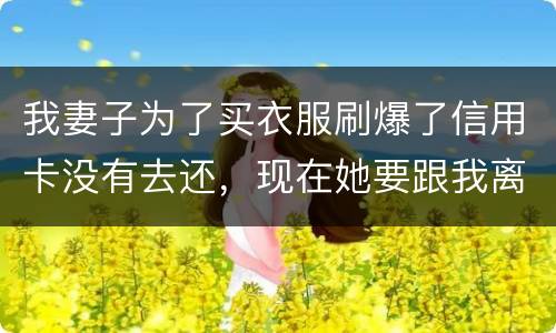 我妻子为了买衣服刷爆了信用卡没有去还，现在她要跟我离婚，请问离婚债务怎么分