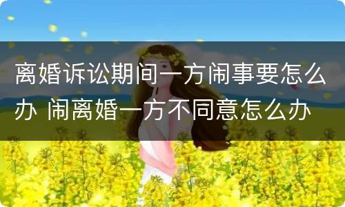 离婚诉讼期间一方闹事要怎么办 闹离婚一方不同意怎么办