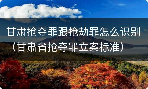 甘肃抢夺罪跟抢劫罪怎么识别（甘肃省抢夺罪立案标准）
