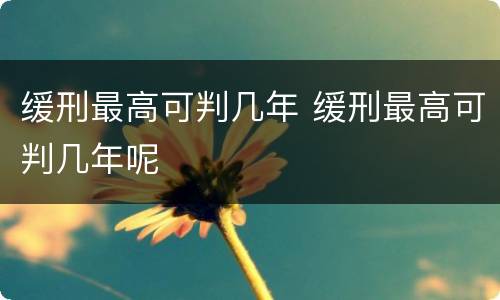 缓刑最高可判几年 缓刑最高可判几年呢