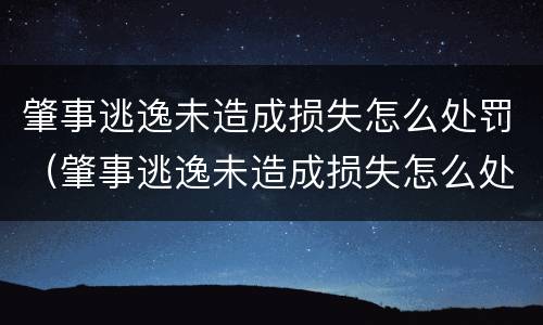 肇事逃逸未造成损失怎么处罚（肇事逃逸未造成损失怎么处罚的）