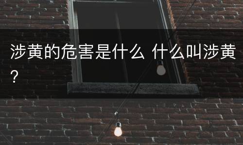 涉黄的危害是什么 什么叫涉黄?