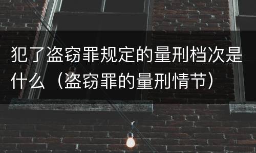 犯了盗窃罪规定的量刑档次是什么（盗窃罪的量刑情节）