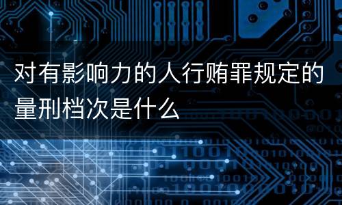 对有影响力的人行贿罪规定的量刑档次是什么