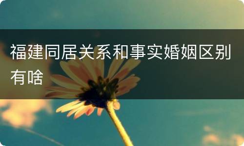 福建同居关系和事实婚姻区别有啥