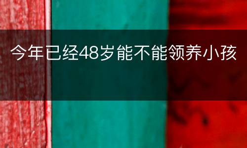 今年已经48岁能不能领养小孩