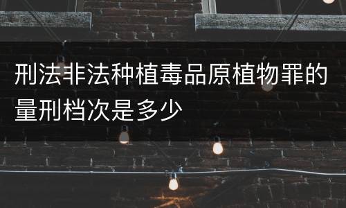 刑法非法种植毒品原植物罪的量刑档次是多少