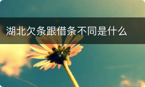 湖北欠条跟借条不同是什么