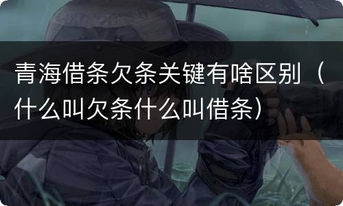 青海借条欠条关键有啥区别（什么叫欠条什么叫借条）