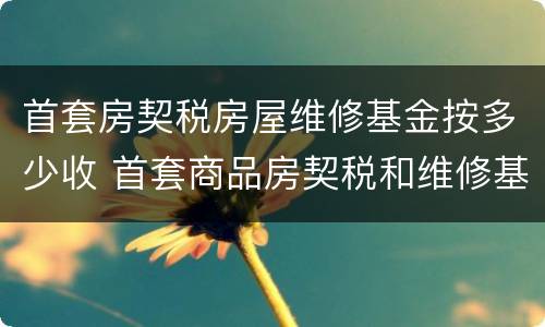首套房契税房屋维修基金按多少收 首套商品房契税和维修基金是多少