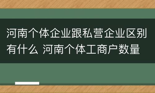 河南个体企业跟私营企业区别有什么 河南个体工商户数量
