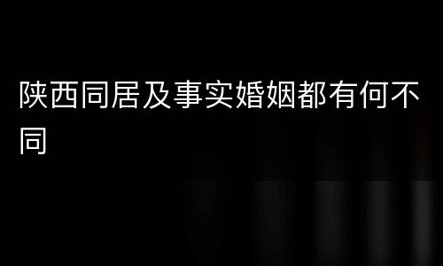 陕西同居及事实婚姻都有何不同