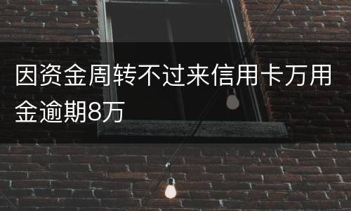 因资金周转不过来信用卡万用金逾期8万