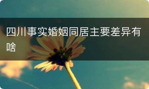四川事实婚姻同居主要差异有啥