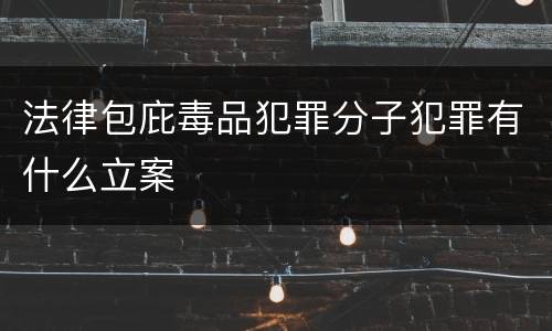 法律包庇毒品犯罪分子犯罪有什么立案