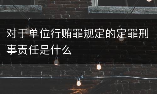 对于单位行贿罪规定的定罪刑事责任是什么