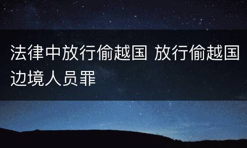 法律中放行偷越国 放行偷越国边境人员罪