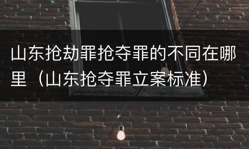 山东抢劫罪抢夺罪的不同在哪里（山东抢夺罪立案标准）