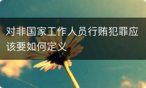 对非国家工作人员行贿犯罪应该要如何定义