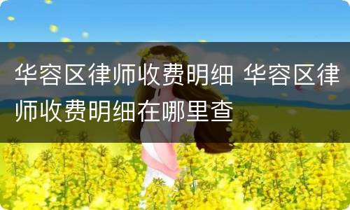 华容区律师收费明细 华容区律师收费明细在哪里查