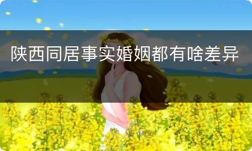 陕西同居事实婚姻都有啥差异