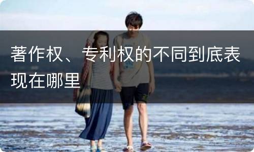 著作权、专利权的不同到底表现在哪里