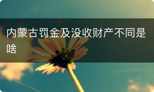 内蒙古罚金及没收财产不同是啥