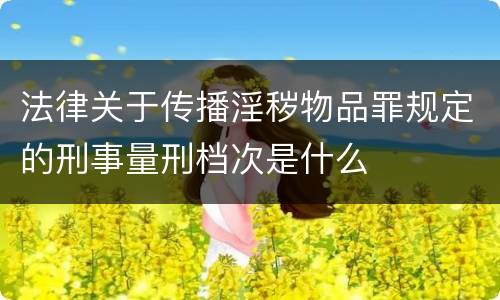 法律关于传播淫秽物品罪规定的刑事量刑档次是什么