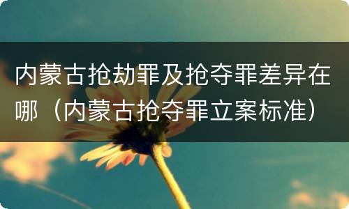 内蒙古抢劫罪及抢夺罪差异在哪(内蒙古抢夺罪立案标准)