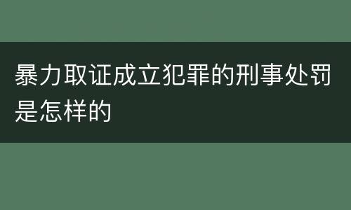 暴力取证成立犯罪的刑事处罚是怎样的