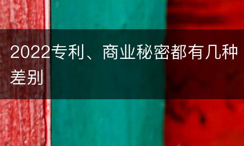 2022专利、商业秘密都有几种差别