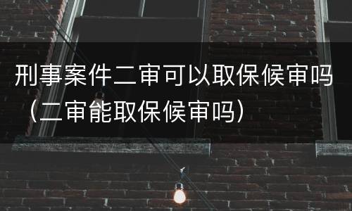 刑事案件二审可以取保候审吗（二审能取保候审吗）
