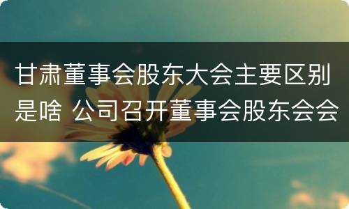 甘肃董事会股东大会主要区别是啥 公司召开董事会股东会会议