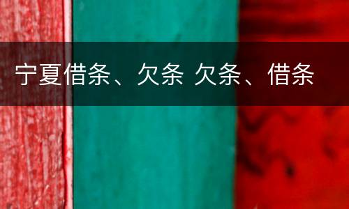 宁夏借条、欠条 欠条、借条