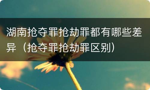 湖南抢夺罪抢劫罪都有哪些差异（抢夺罪抢劫罪区别）