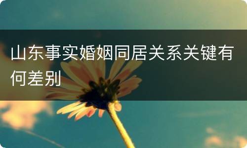 山东事实婚姻同居关系关键有何差别