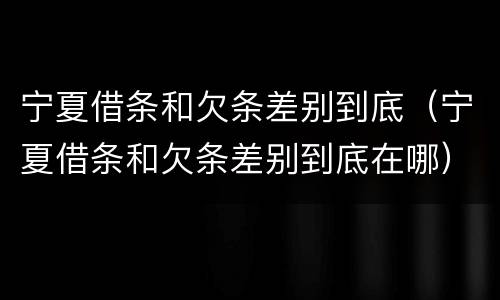 宁夏借条和欠条差别到底（宁夏借条和欠条差别到底在哪）