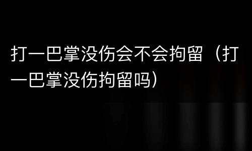 打一巴掌没伤会不会拘留（打一巴掌没伤拘留吗）