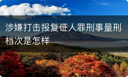 涉嫌打击报复证人罪刑事量刑档次是怎样