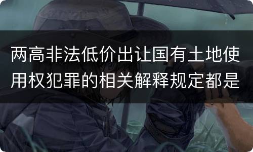 两高非法低价出让国有土地使用权犯罪的相关解释规定都是什么