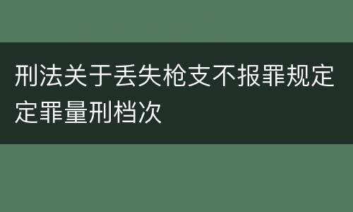 刑法关于丢失枪支不报罪规定定罪量刑档次