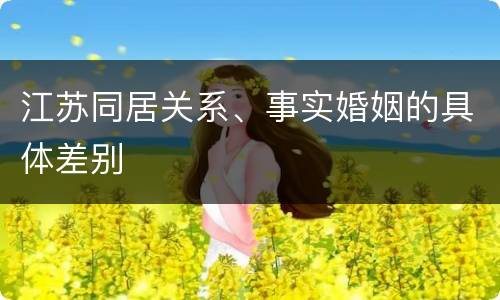 江苏同居关系、事实婚姻的具体差别