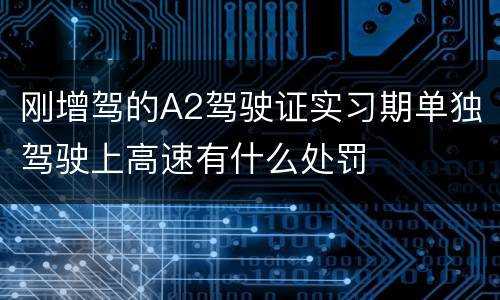 刚增驾的A2驾驶证实习期单独驾驶上高速有什么处罚
