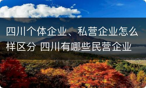 四川个体企业、私营企业怎么样区分 四川有哪些民营企业