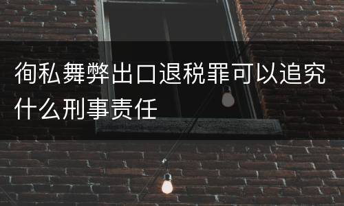 徇私舞弊出口退税罪可以追究什么刑事责任