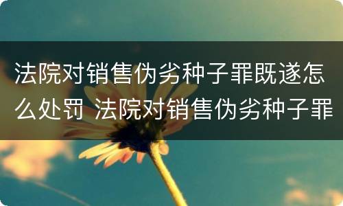 法院对销售伪劣种子罪既遂怎么处罚 法院对销售伪劣种子罪既遂怎么处罚