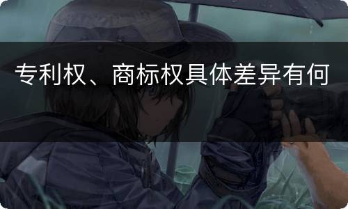 专利权、商标权具体差异有何