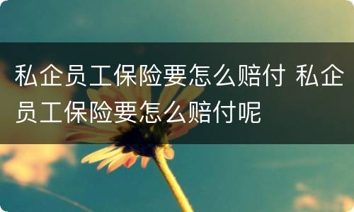 私企员工保险要怎么赔付 私企员工保险要怎么赔付呢